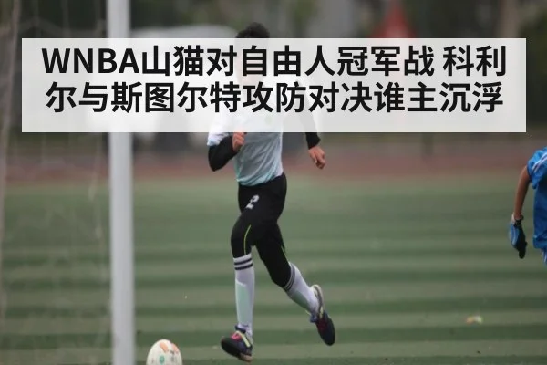 WNBA山猫对自由人冠军战 科利尔与斯图尔特攻防对决谁主沉浮（c7c7，app）